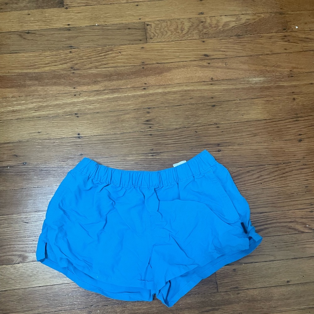 Patagonia Baggie Shorts